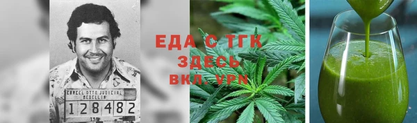 индика Орск